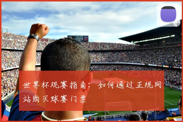 世界杯观赛指南：如何通过正规网站购买球赛门票