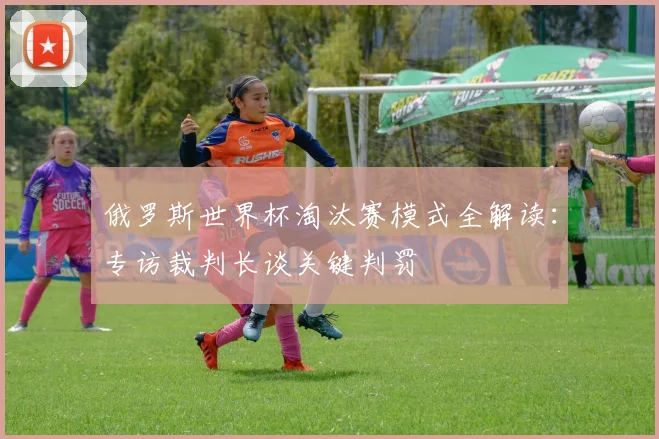 俄罗斯世界杯淘汰赛模式全解读：专访裁判长谈关键判罚